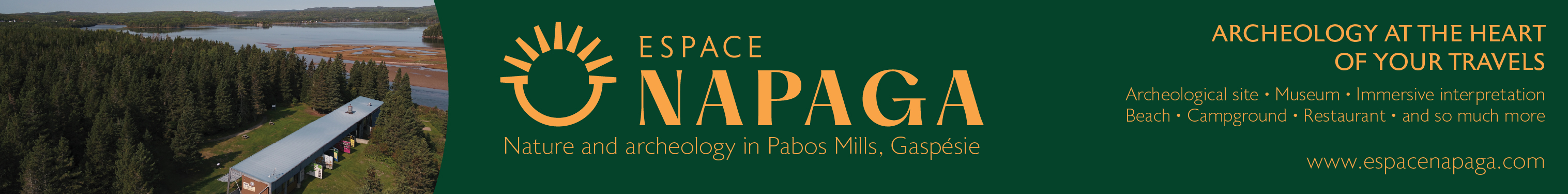 Pub Napaga Guide Gq Mega Banniere En