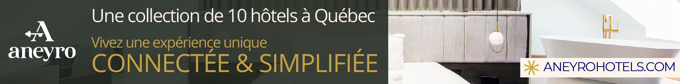 Aneyro Hôtels FR 26